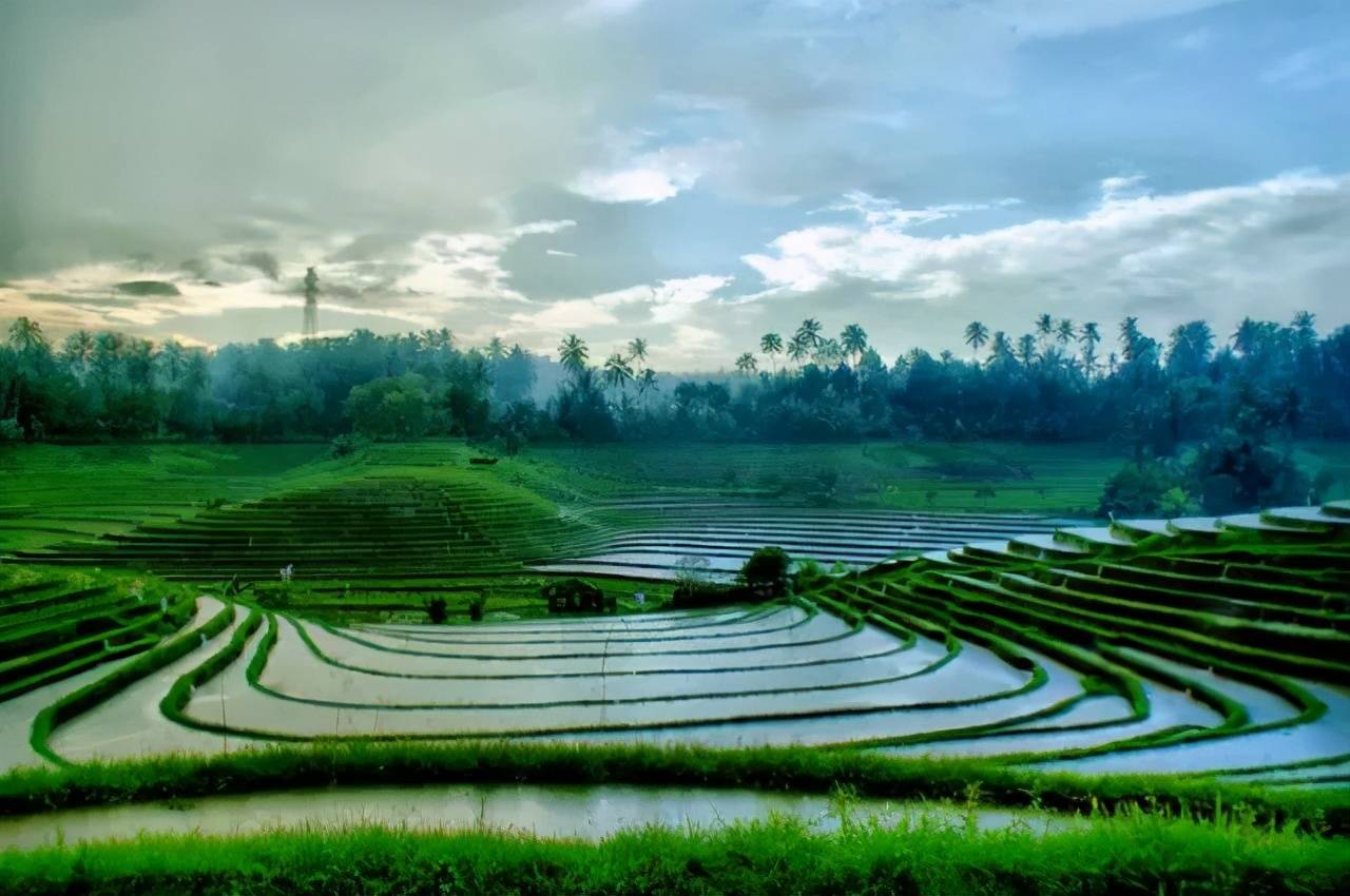 田园风光,令人陶醉
