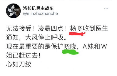 又一个跪美者死在美国之后