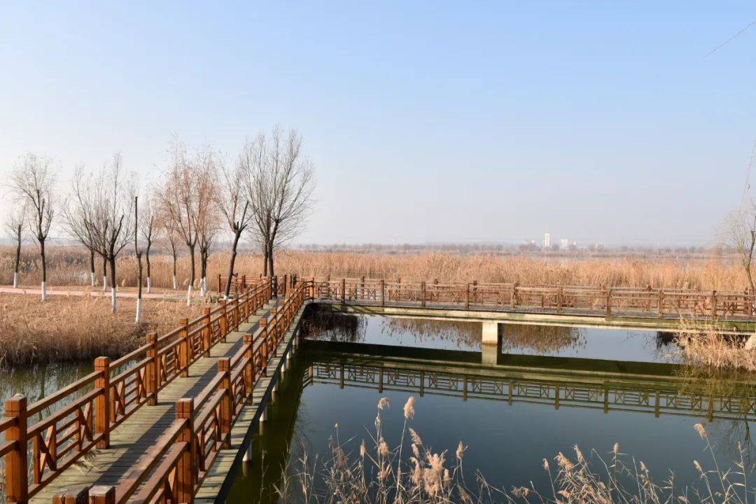 如诗如画安国湖湿地公园的美让人沉醉抽时间一定要来看看哦融媒体记者