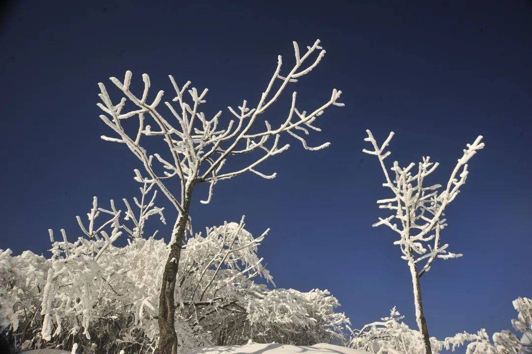 星子山雪景图片