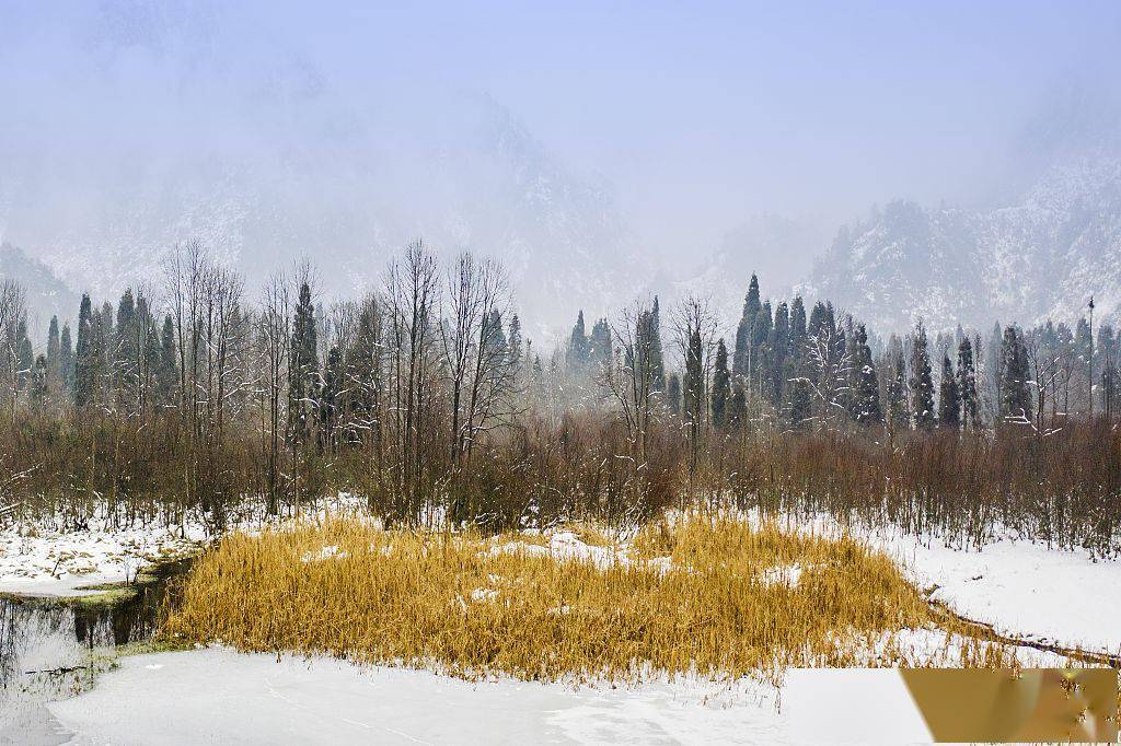 四川都江堰：雪后龙池国家森林公园云雾缭绕