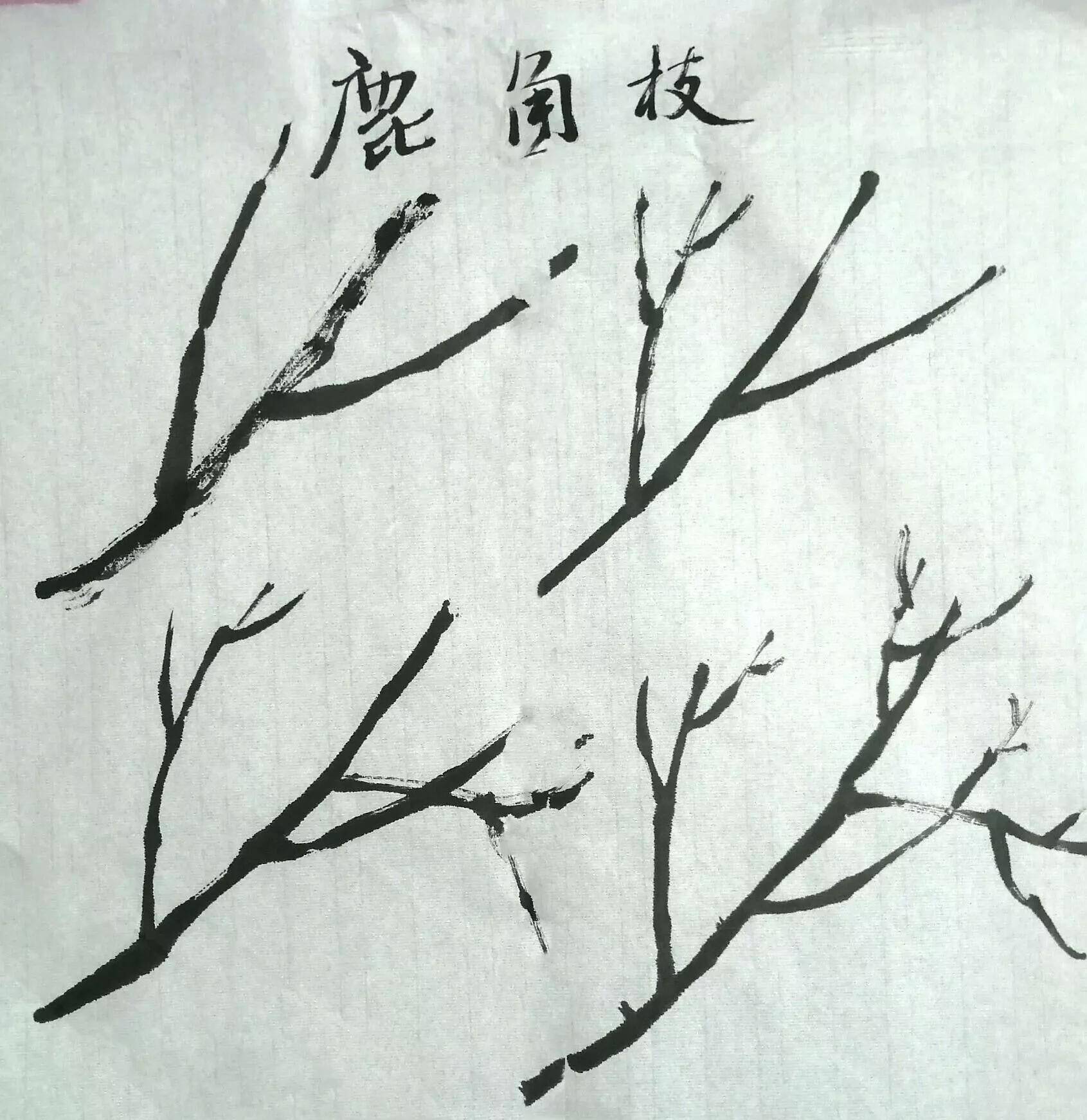 树枝简单画法图片