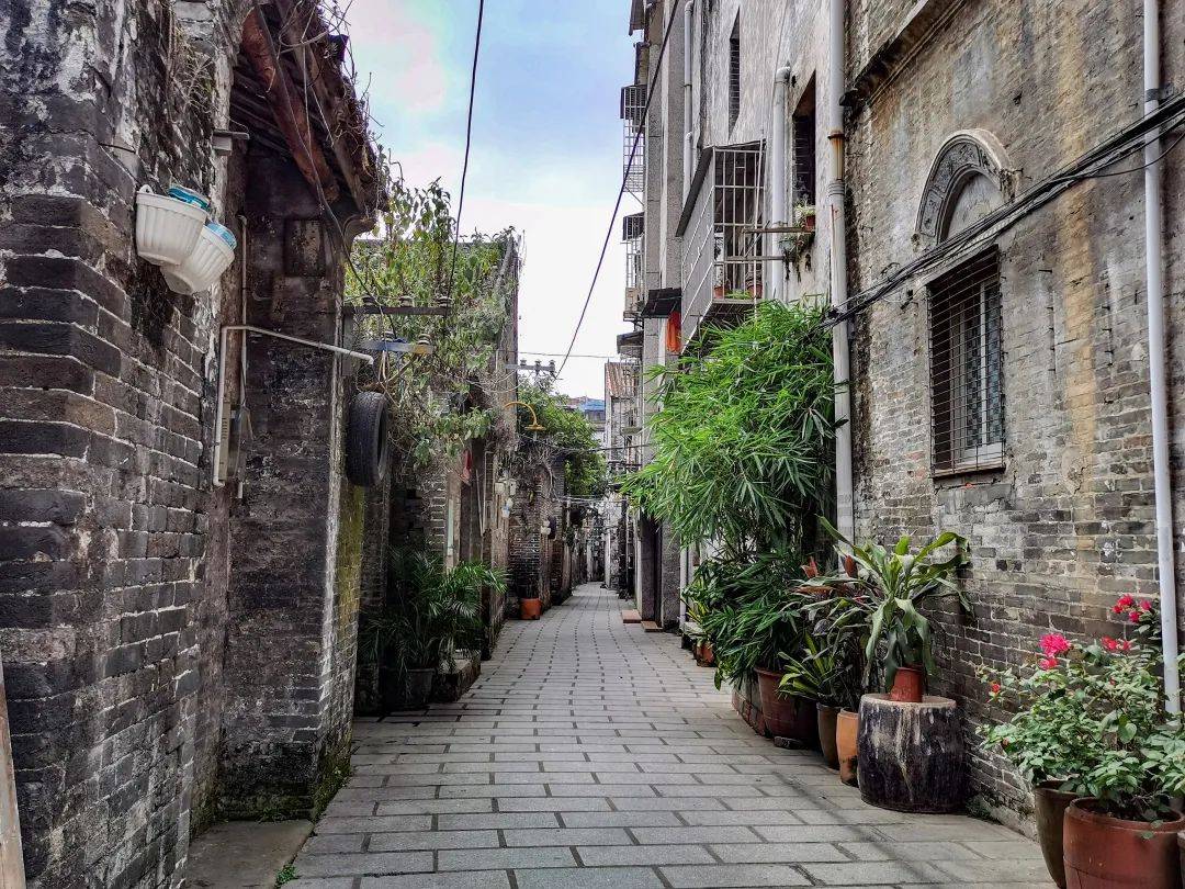 金龙巷中岁月长一道趟栊门深藏故与事