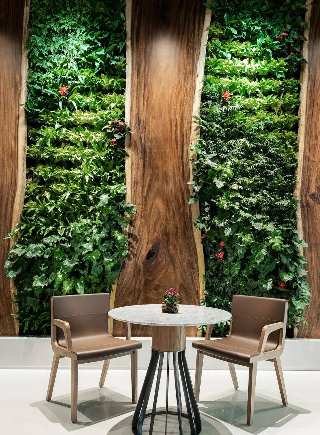 墙面被绿色植物覆盖,光线从两旁玻璃窗外落进花草间,在视觉上扩大了