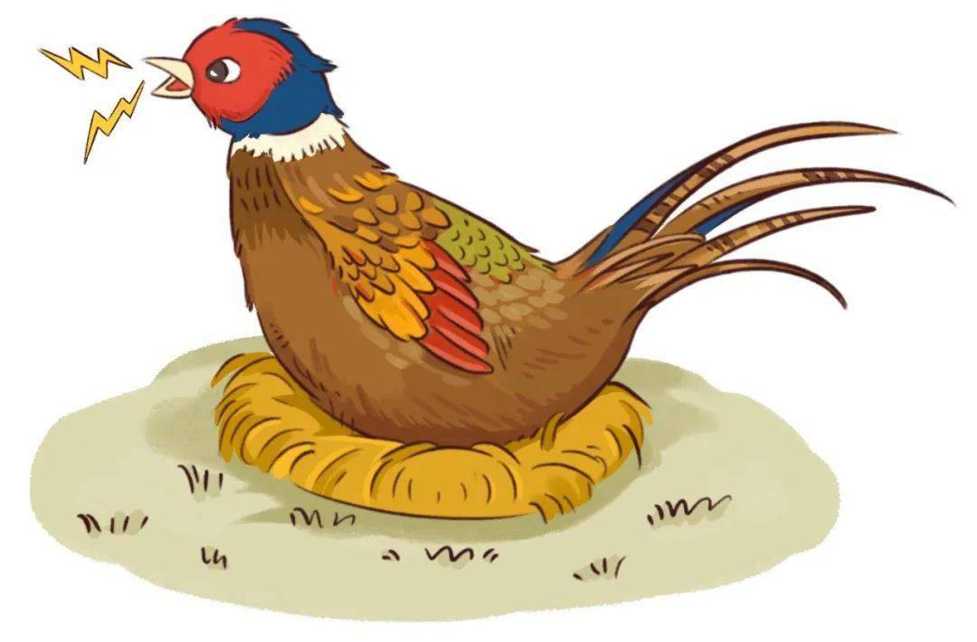 二十四节气之画说小寒