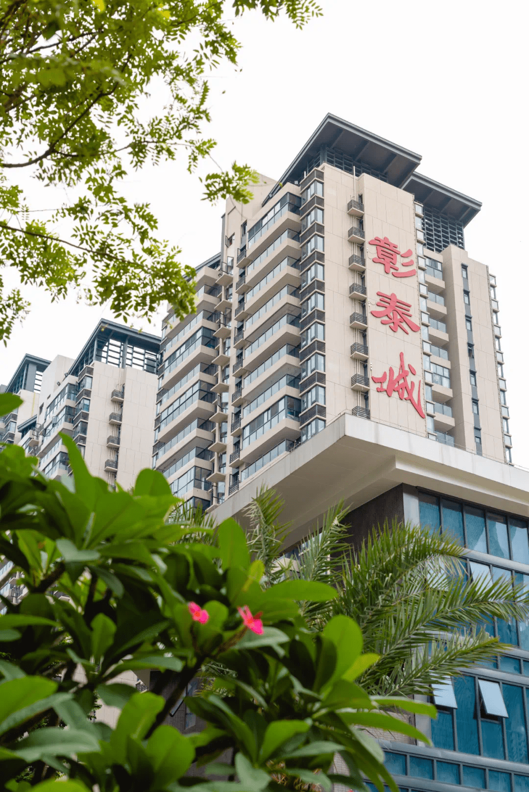 这家广西龙头房企,靠什么在全国圈粉?_彰泰