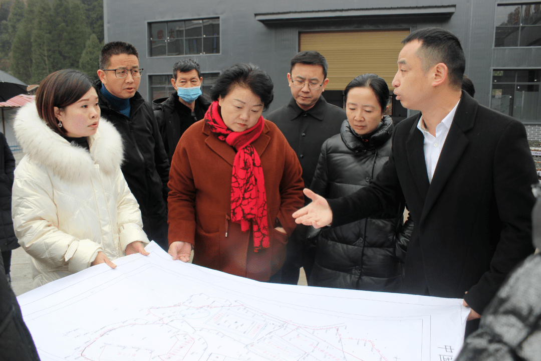 李莲娜副市长赴板桥镇调研乡村振兴工作