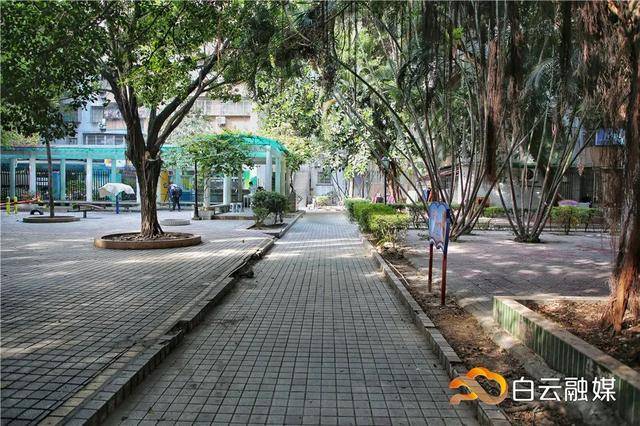 26年老旧小区将变"年轻",云城街白云花园启动微改造