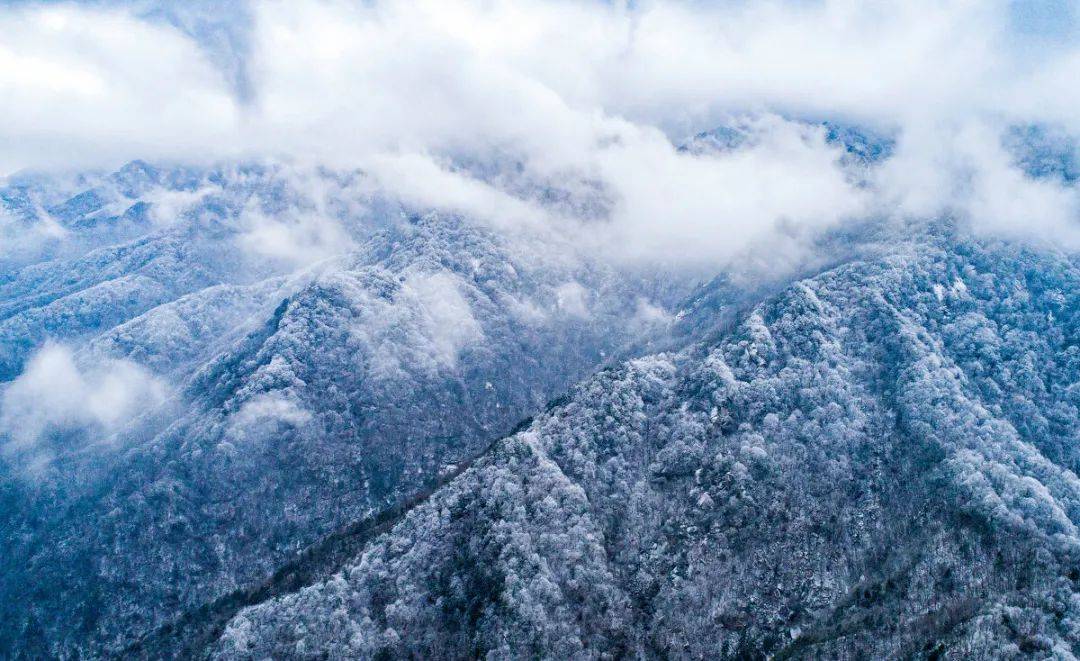 雪拥蓝关马不前.秦岭雪落一幅沧桑而唯美的山水画卷缓缓打开.