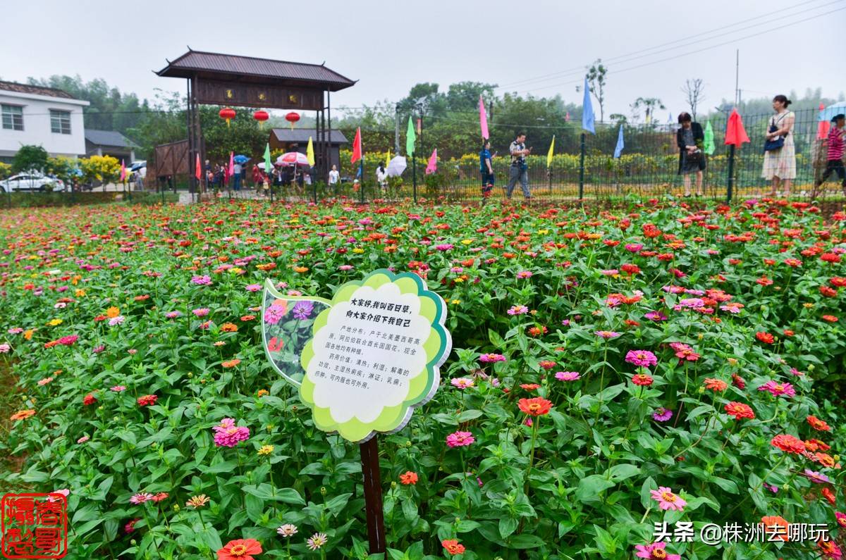 天元区株洲石三门现代农业公园响水园景区,所属三门镇位处株洲市西南