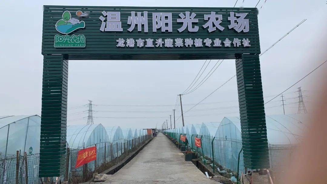 温州首张品字标浙江农产证书落户龙港