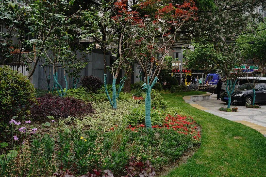 探索黄浦这些小而美的街心花园你去打过卡吗