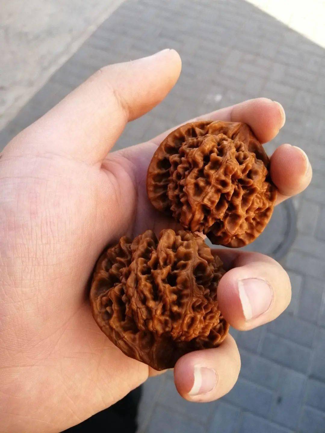 玩核桃的3大忌讳,你居然还不知道?