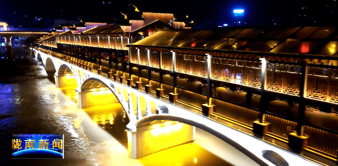 武都白龙江边夜景图片图片