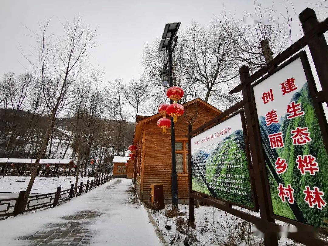 生态文学 | 甘肃陇西桦林村:青山不老焕新颜