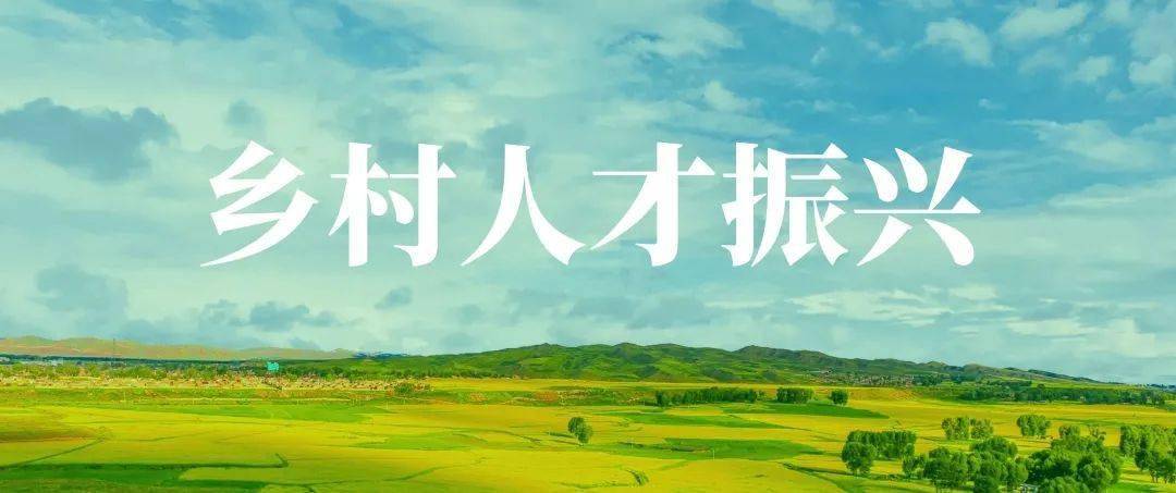 2020人社工作盘点精准对接乡村需求着力打造乡村人才振兴特色培训品牌