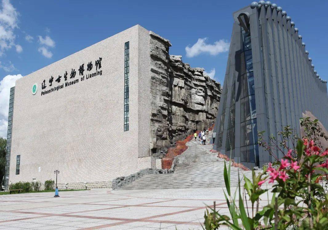 沈阳师范大学辽宁古生物博物馆获评国家二级博物馆-搜狐大视野-搜狐新