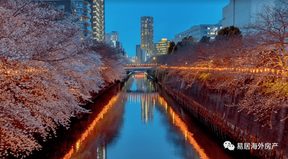 东京目黑区5ldk一户建,现代化设计,名校在侧