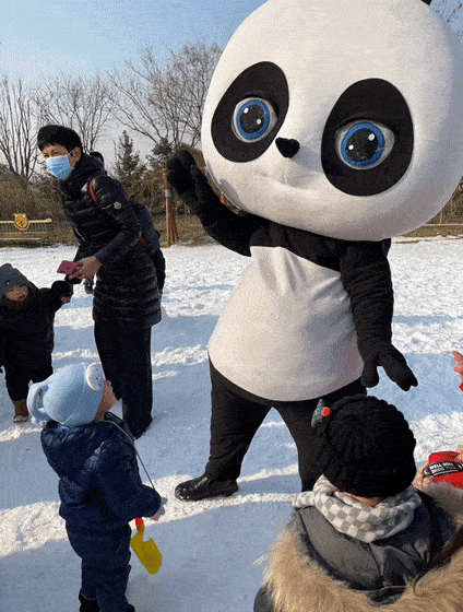 与萌宠亲密互动你可以看到圆滚滚的大熊猫小川,小乔姐弟在雪地里打滚