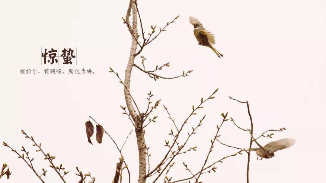 春风秋雨二十四节气