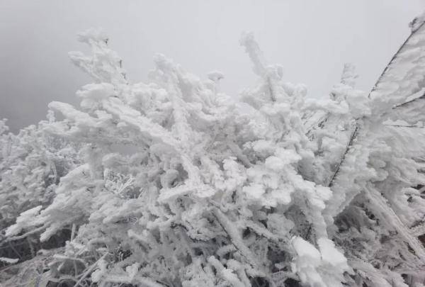 广东真下雪了！