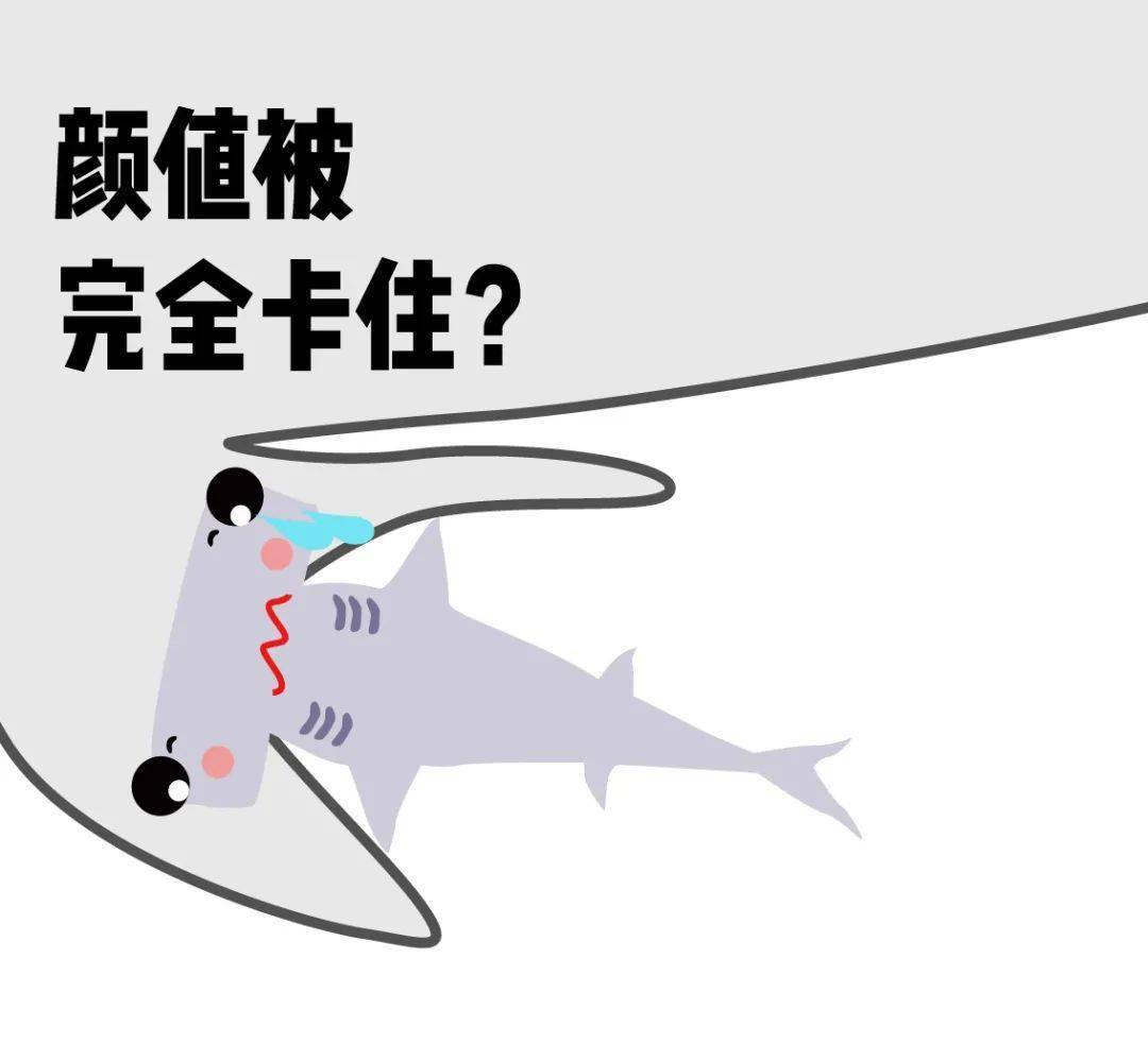 锤头鲨宝宝确实先出来尾巴然后他们的头部锤头软骨在体内一直都保持
