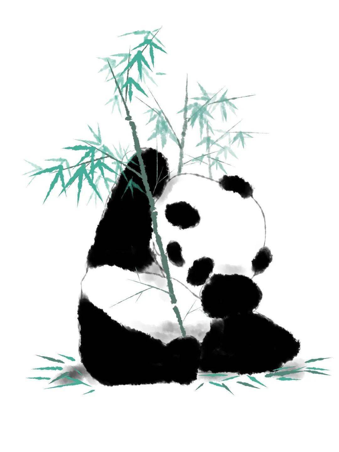 志愿者活动·中国国宝大熊猫