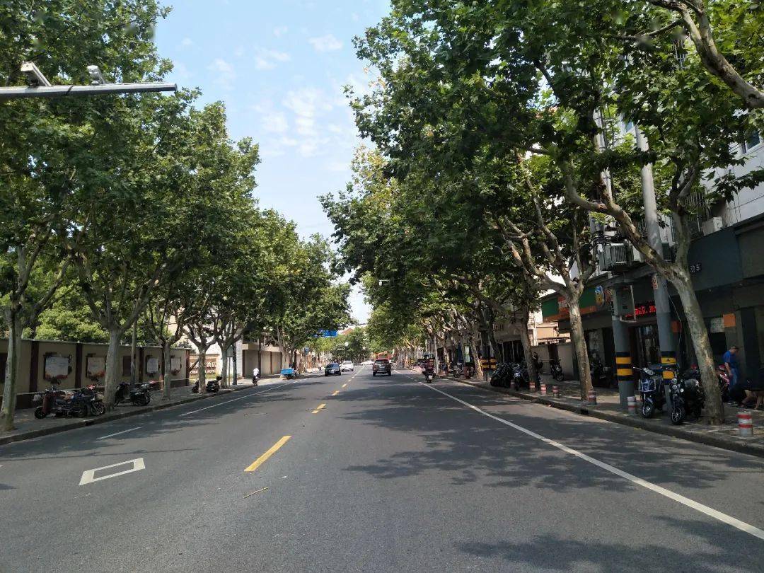 宝山区五年里新建各类绿地500多公顷来看看ta们都在哪儿