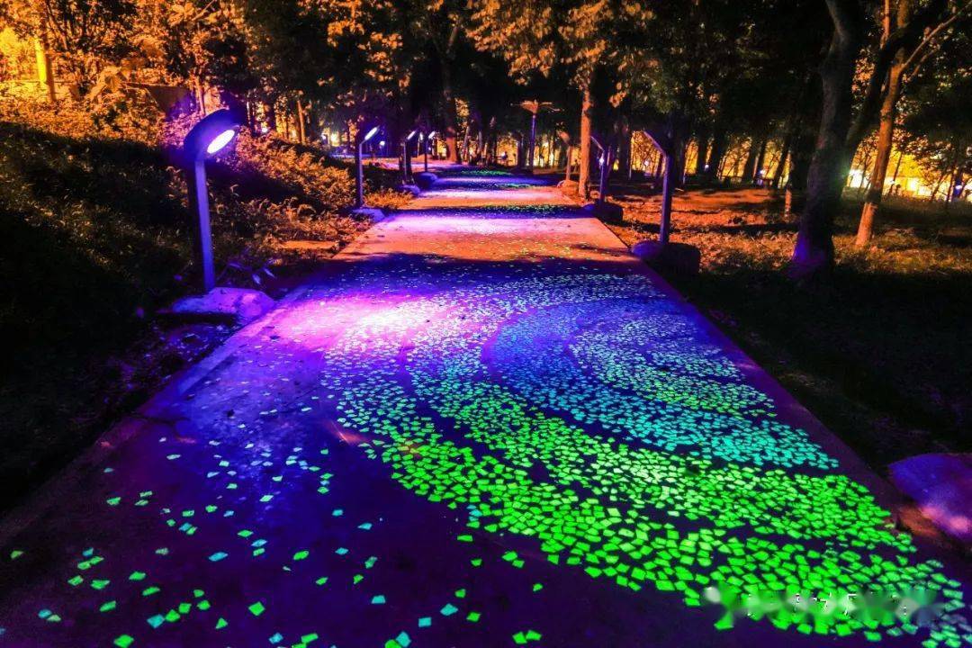 一条"点亮"我们健康生活的夜光骑行道
