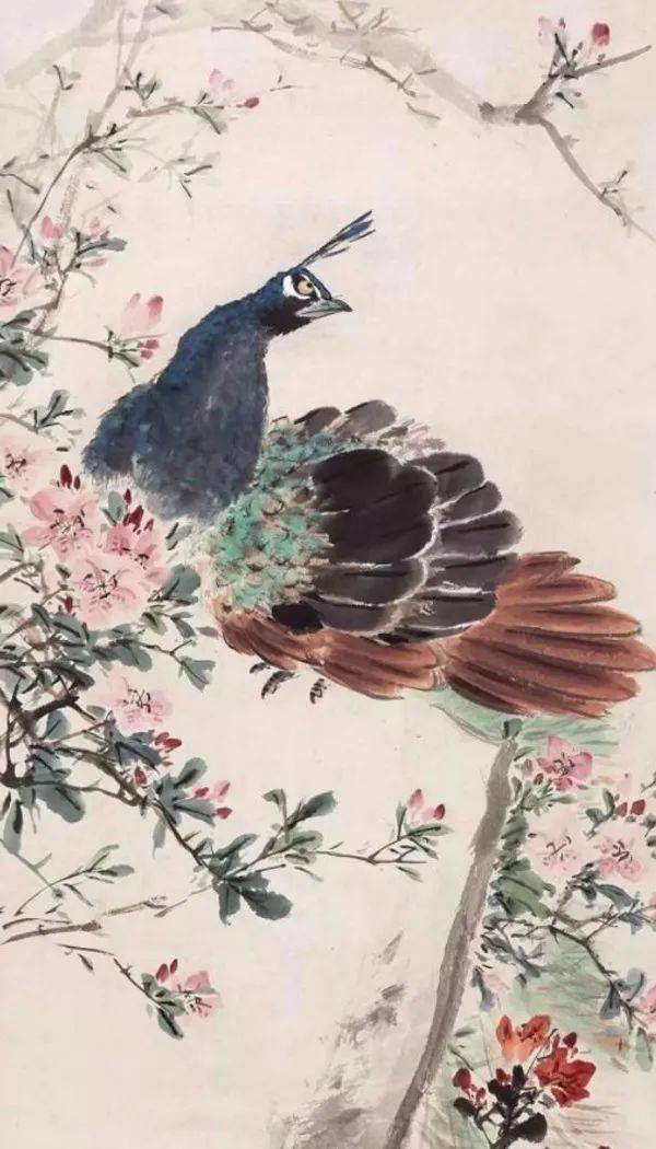 这幅杜鹃孔雀,是王雪涛对"默写"二字完美诠释,是王雪涛于写生抑或默写