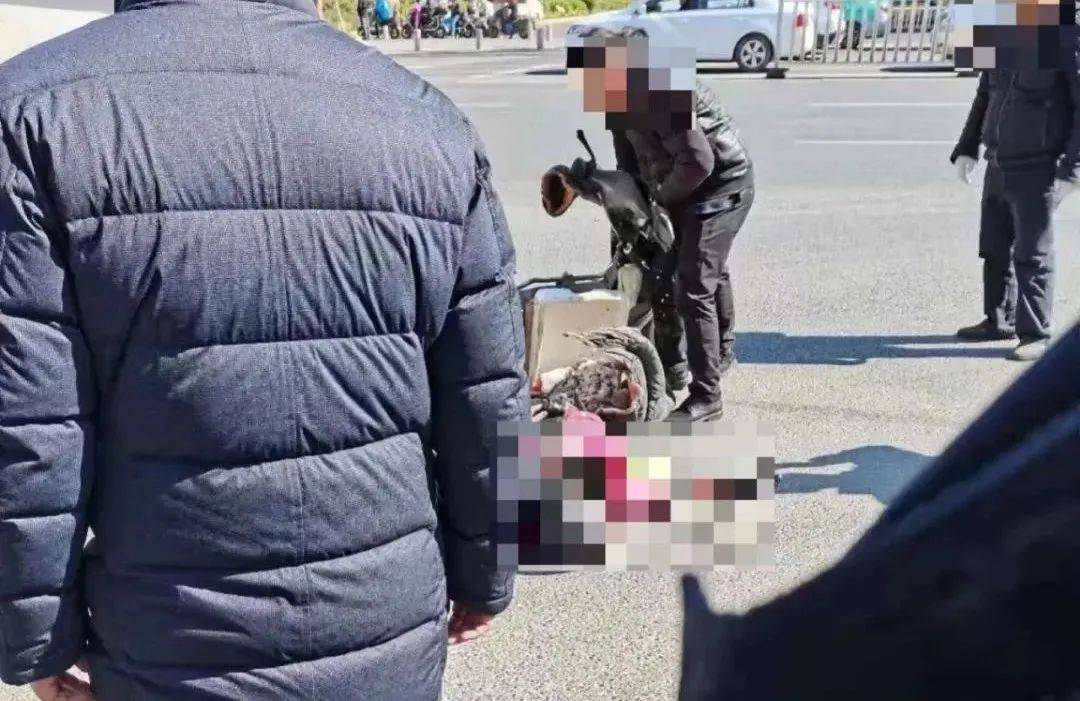 1月9日上午11点多,有网友爆料,福州福飞北路发生一起车祸,有人受伤