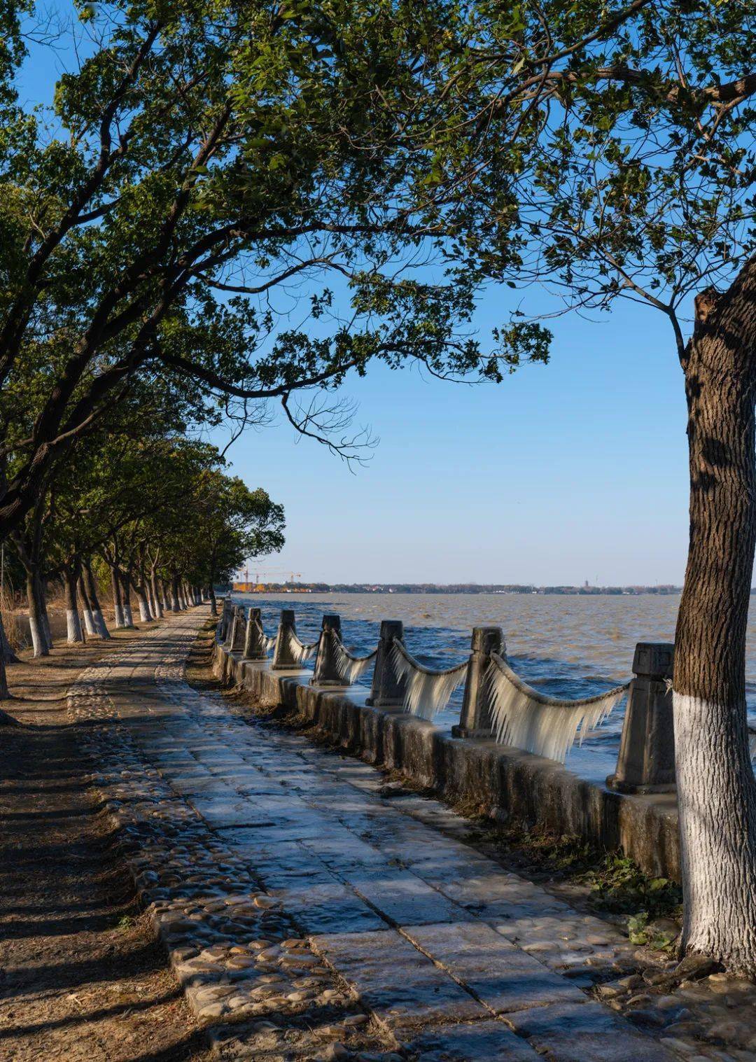 这个冬天最具人气的网红打卡地,就在淀山湖畔~_护栏