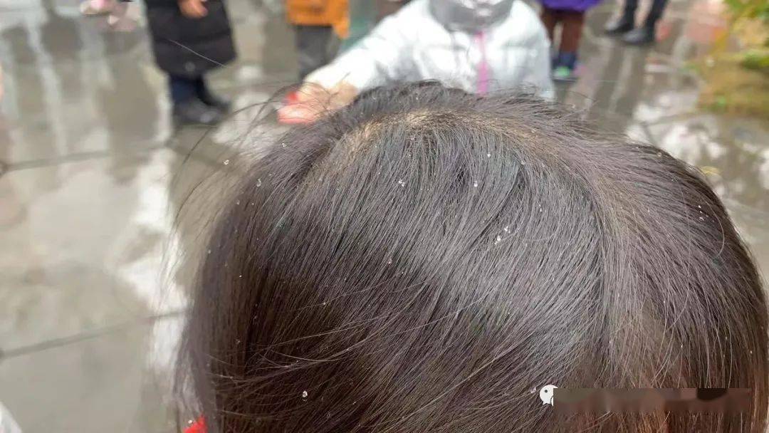 【世纪伟才新闻中心】听闻世纪伟才也下雪了