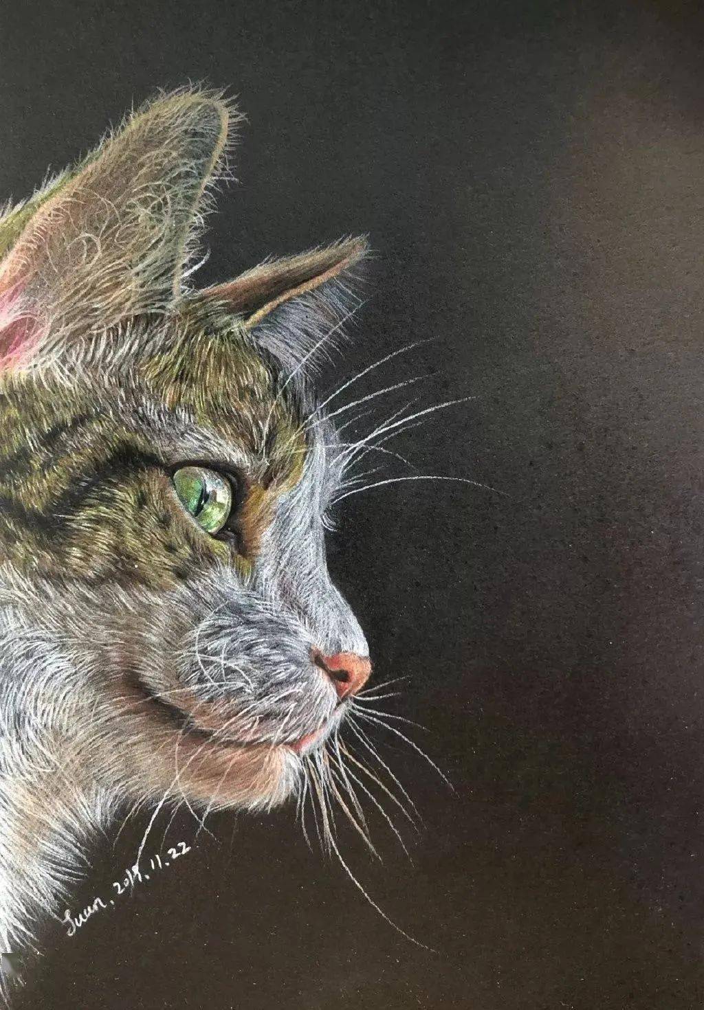 彩铅步骤黑色卡纸上画彩铅这个效果太棒了