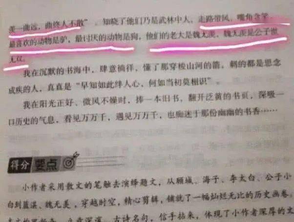 同学将魔道祖师写进中考作文获得满分网友还可以这样