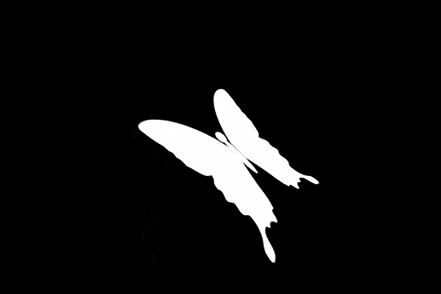 自由地翩跹butterfly· 蝶 ·从艺术到现实,从身体到心灵,这里是想象