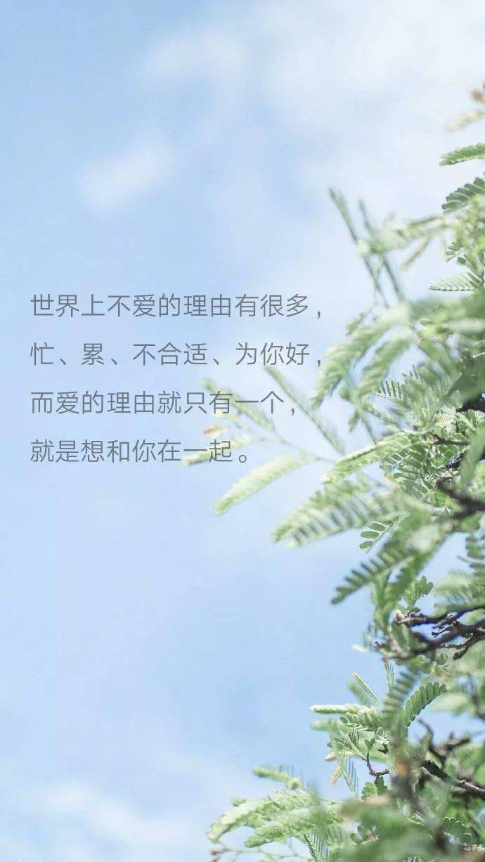看透一切的图片 来自搜狐网