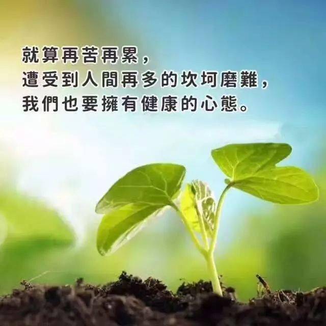 精神层次越高的人越善良!荐文!