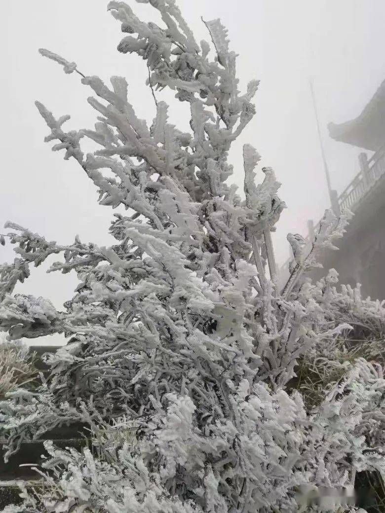 东山峰雪景图片