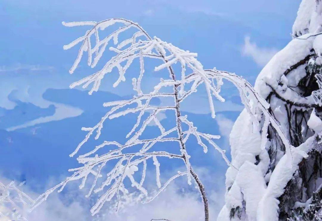提前掌握手机拍雪景技巧再下雪就有朋友圈里最靓的雪景照