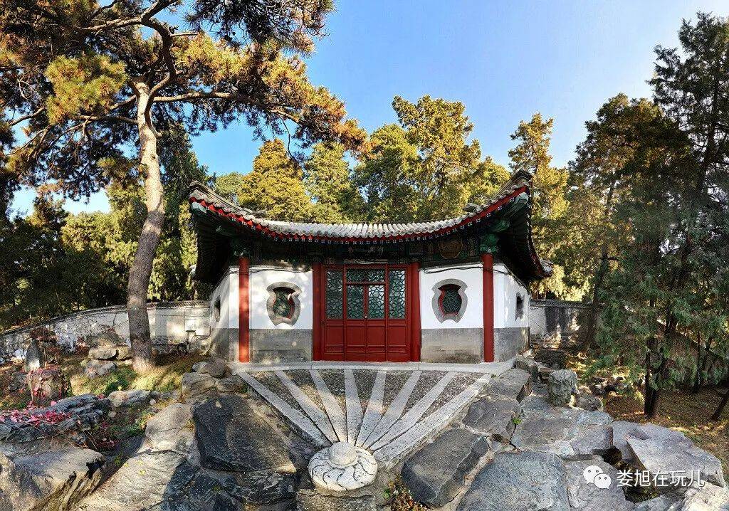 最大的折扇扬仁风