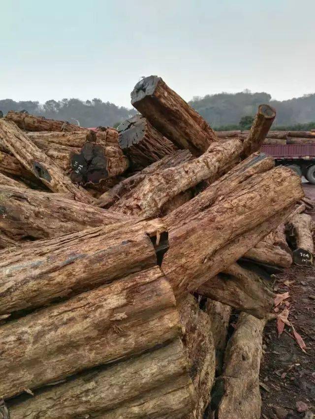 最硬的国标红木