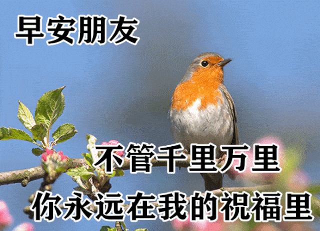 欣赏别人是一种境界善待别人是一种胸怀早安