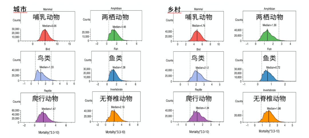 2020流浪动物图形统计图片