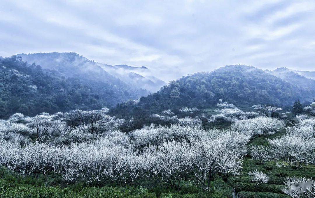 所前鎮三泉王村