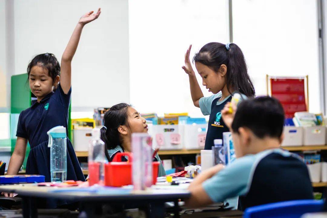 我们学校的使命是通过具有挑战性和以学习者为中心的课程,提供社交