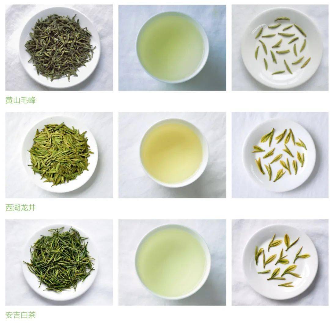 绿茶的绿,主要体现在冲泡后的叶底颜色绿又有不同程度的绿,有浅绿