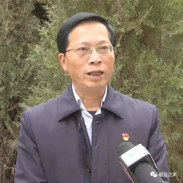 岷县县委常委,副县长 林善章:目前,药材,中蜂,猫尾草已经是岷县脱贫