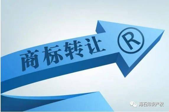 企业商标注册的最新动态与实用指南