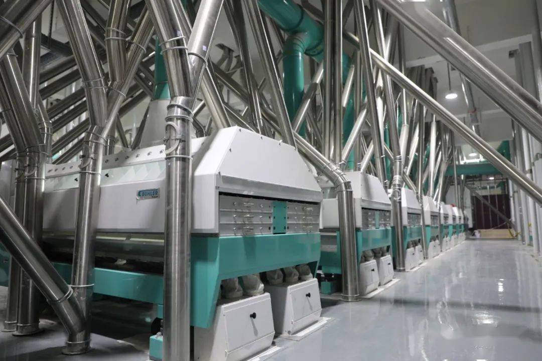 激动陕西金沙河公司玉米投产制粉开机